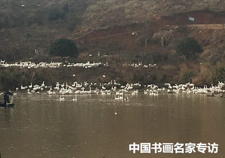 image/20200101/1cf6504c19ade564d978611f329869e7.jpeg